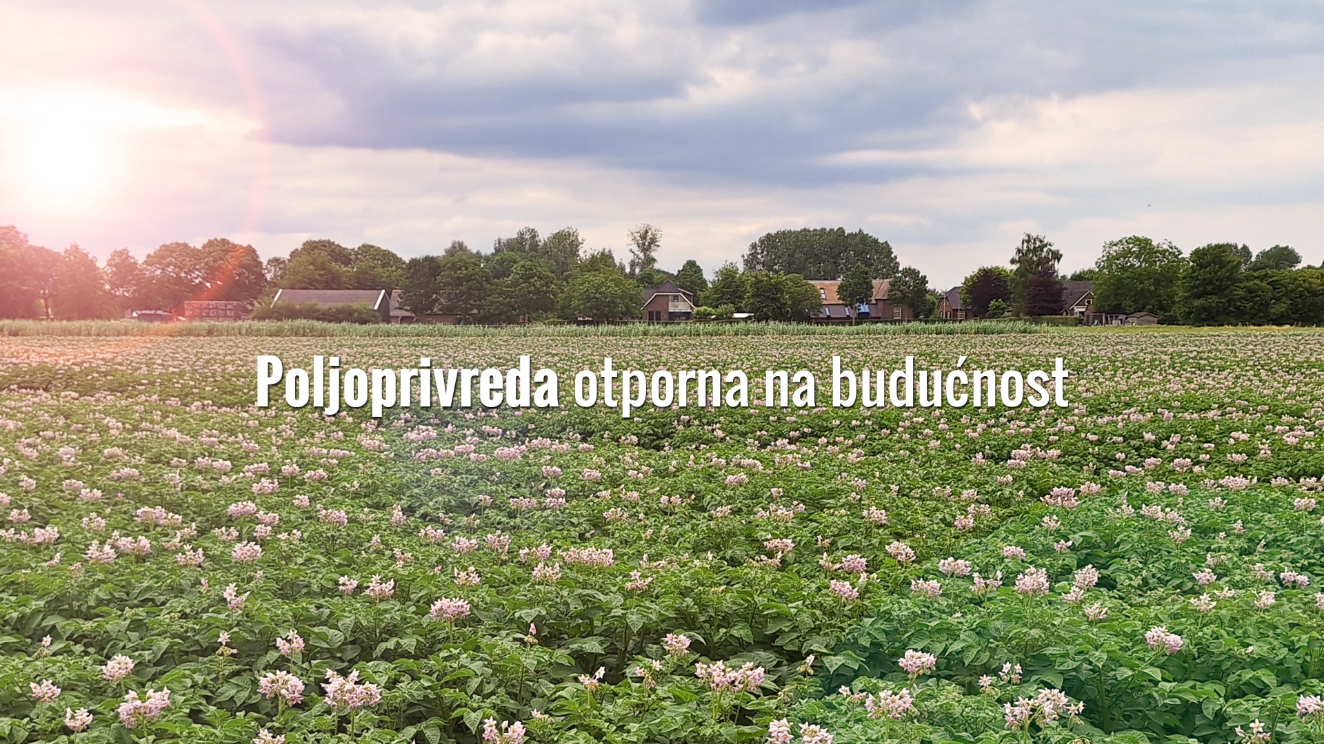 avfs-240195-02_house_of_fries_website_-_new_horizons_-_field_to_fork_-_header_-_1920x1080_-_hr.jpg