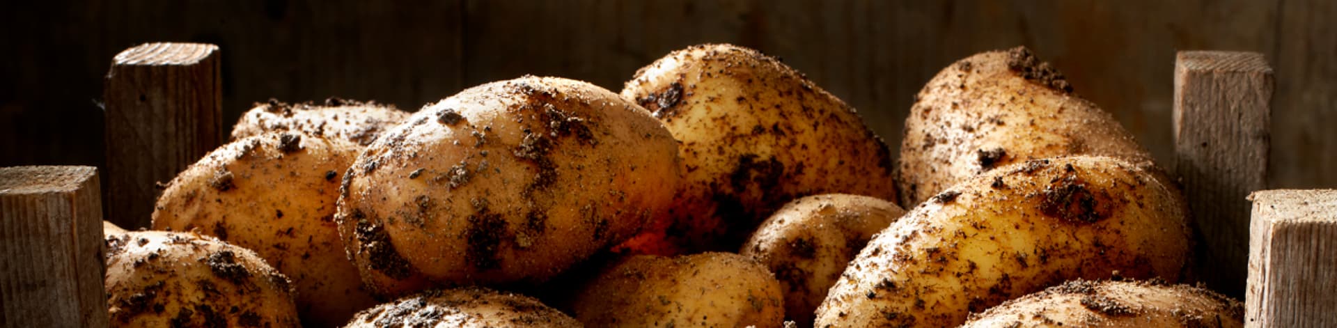 aviko_house_of_fries_-_new_horizons_-_banner_3_-_1224x300px.jpg